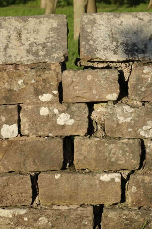 Stone Wall Repair in Summerfield, NC